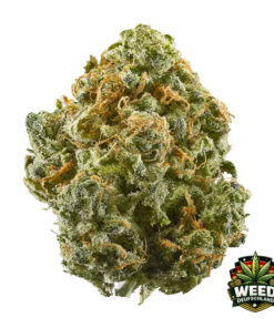 Alaskan Thunder Fuck