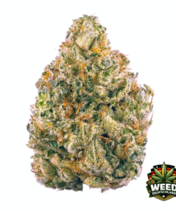Chemdawg Weed