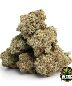 GSC (Girl Scout Cookies)