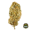 Jack Herer