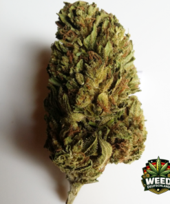 Super Silver Haze Weed